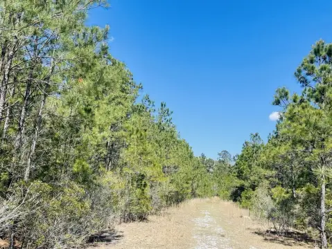 27 Acres Vacant Land Shallotte