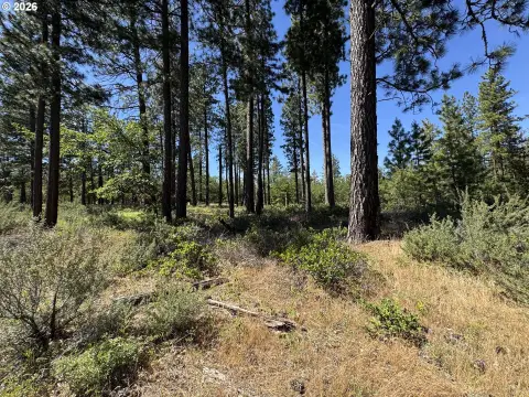 Recreation Land Parcel with Road Access