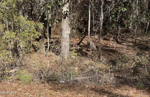 One-Acre Wooded Residential Lot