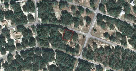 Land For Sale in Ocklawaha