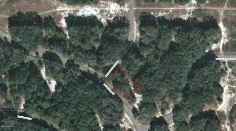 Land For Sale in Ocklawaha