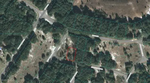 Land in Ocklawaha, Florida