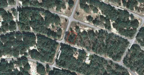 Land For Sale in Ocklawaha