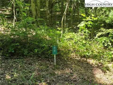 Wooded Lot Near Downtown