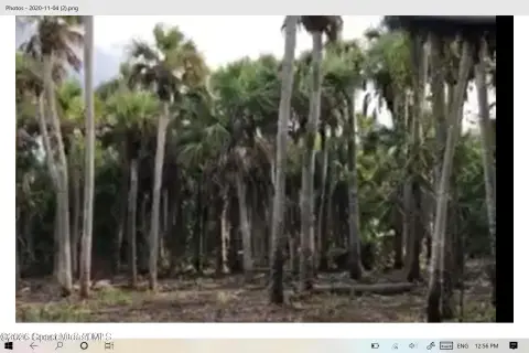 Wooded Land in Merritt Island