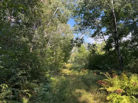 Wooded Recreation Land