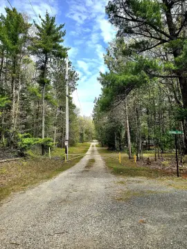 Vacant Lot in Pentwater, MI