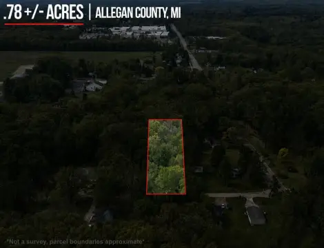 Wooded Lot Near Downtown Allegan