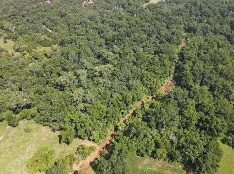 Wooded Hunting Tract with Creek Bed