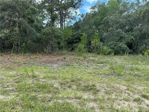 Land in Citrus Springs, FL