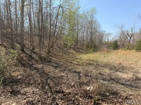 Residential Land in Poplar Bluff