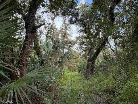 Hunting Land with Electric Access