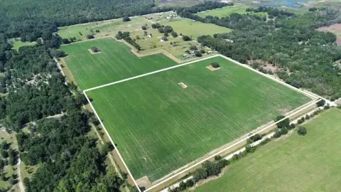 Cleared Agricultural Land