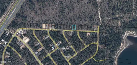 Buildable Residential Lot with Trees