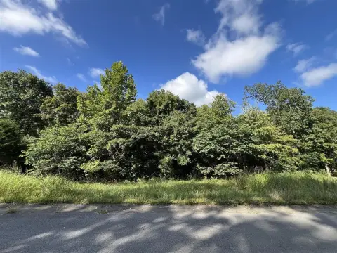 Wooded Lot in Bowling Green