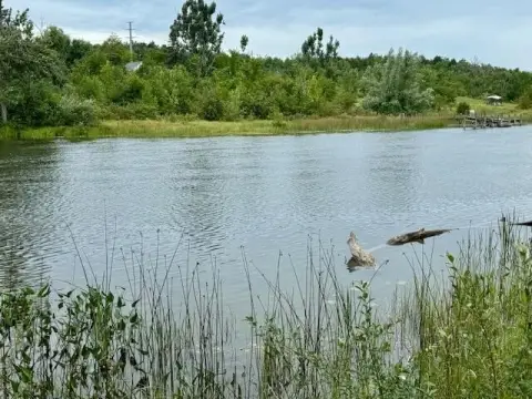 Estate-Size Parcels on Black River