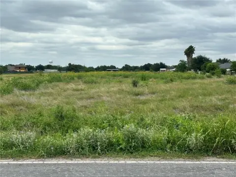 Alamo, TX Land Opportunity
