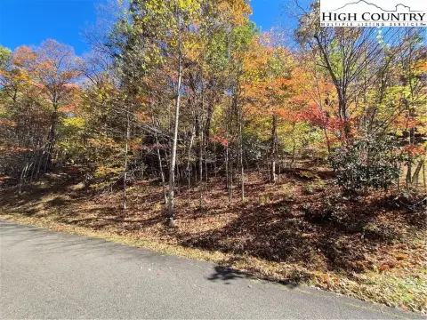 Wooded Residential Homesite Lot