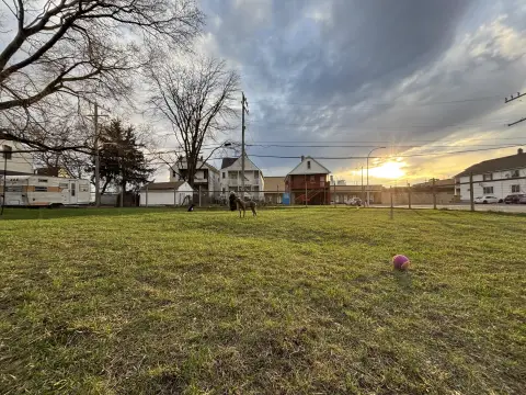 Hamtramck Vacant Land For Sale