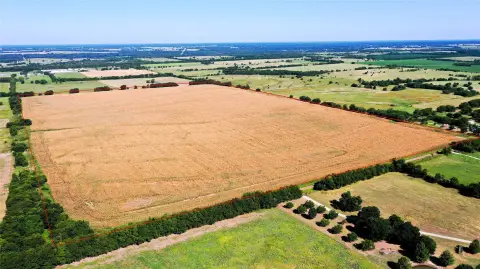 Row Crop Farm for Sale