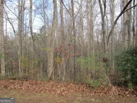 Residential Lot in Griffin, GA