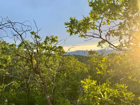 Single-Family Buildable Lot