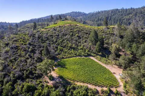 Cabernet Sauvignon Vineyard Estate Land