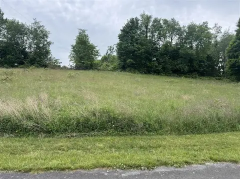 Residential Lot in Blossom Hills
