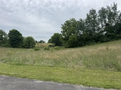 Residential Lot in Blossom Hills