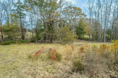Tyler, TX Acreage For Sale