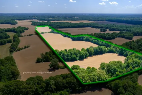 36.75 Acres Near Mason, TN