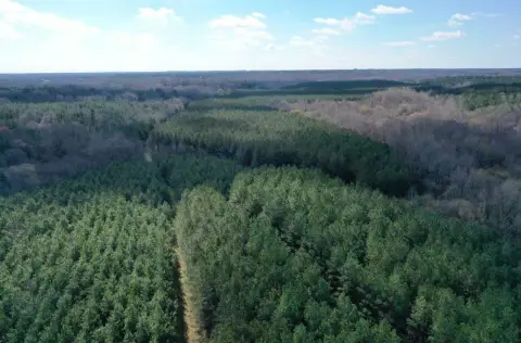 Red Banks Land with Hunting