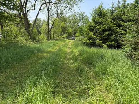 23 Acres in Barry County