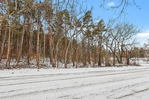 Wooded Lot in Cedar Springs