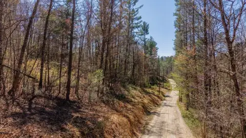 Residential Land in Wooded Setting