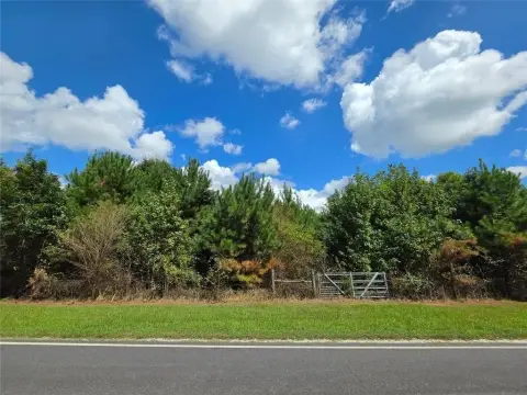 Wooded Hunting Land