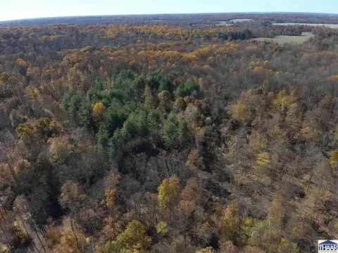 Timbered Hunting Land