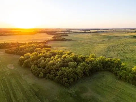 Productive Farmland with Hunting Potential