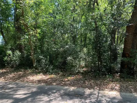 Land Opportunity in Athens, Texas