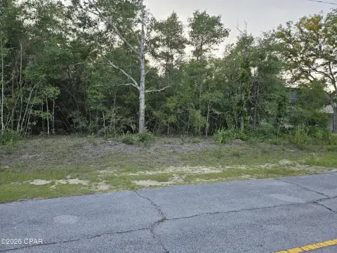 Flat Wooded Residential Land Lot