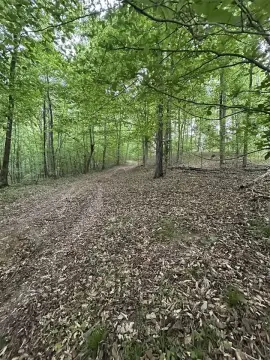 Scottsville Acreage For Sale