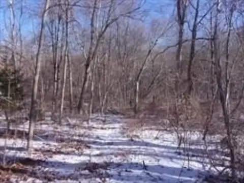 7.2 Acres of Elevated Land