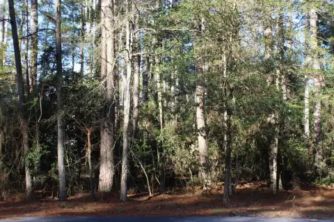Wooded Lot in Captains Cove