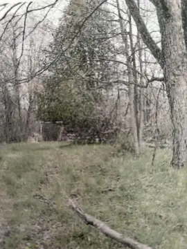 Land with Pole Building