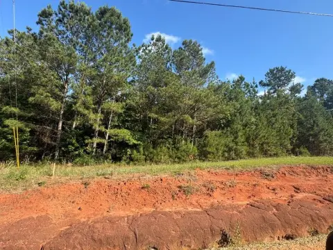 Georgetown Land Near Lake Eufaula