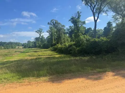 Georgetown Land Parcel Near Lake