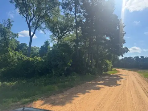 Georgetown Land Near Lake Eufaula