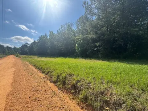 Georgetown Land Near Lake Eufaula