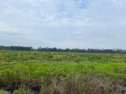 Agricultural Land with Dual Road Frontage