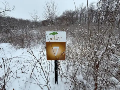 Verona Wooded Lot Ready to Build